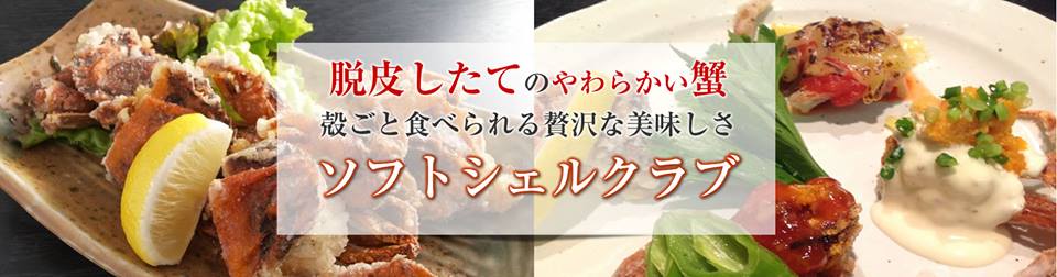 ソフトシェルクラブの卸売通販はこちらのイメージ