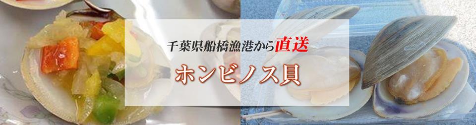 ホンビノス貝の卸売通販はこちらのイメージ